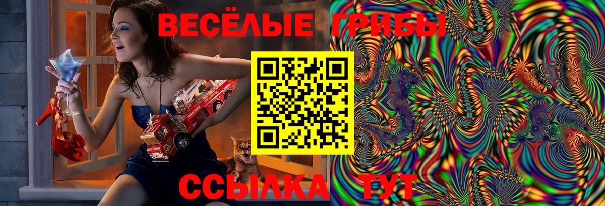 Псилоцибиновые грибы MAGIC MUSHROOMS Ивантеевка
